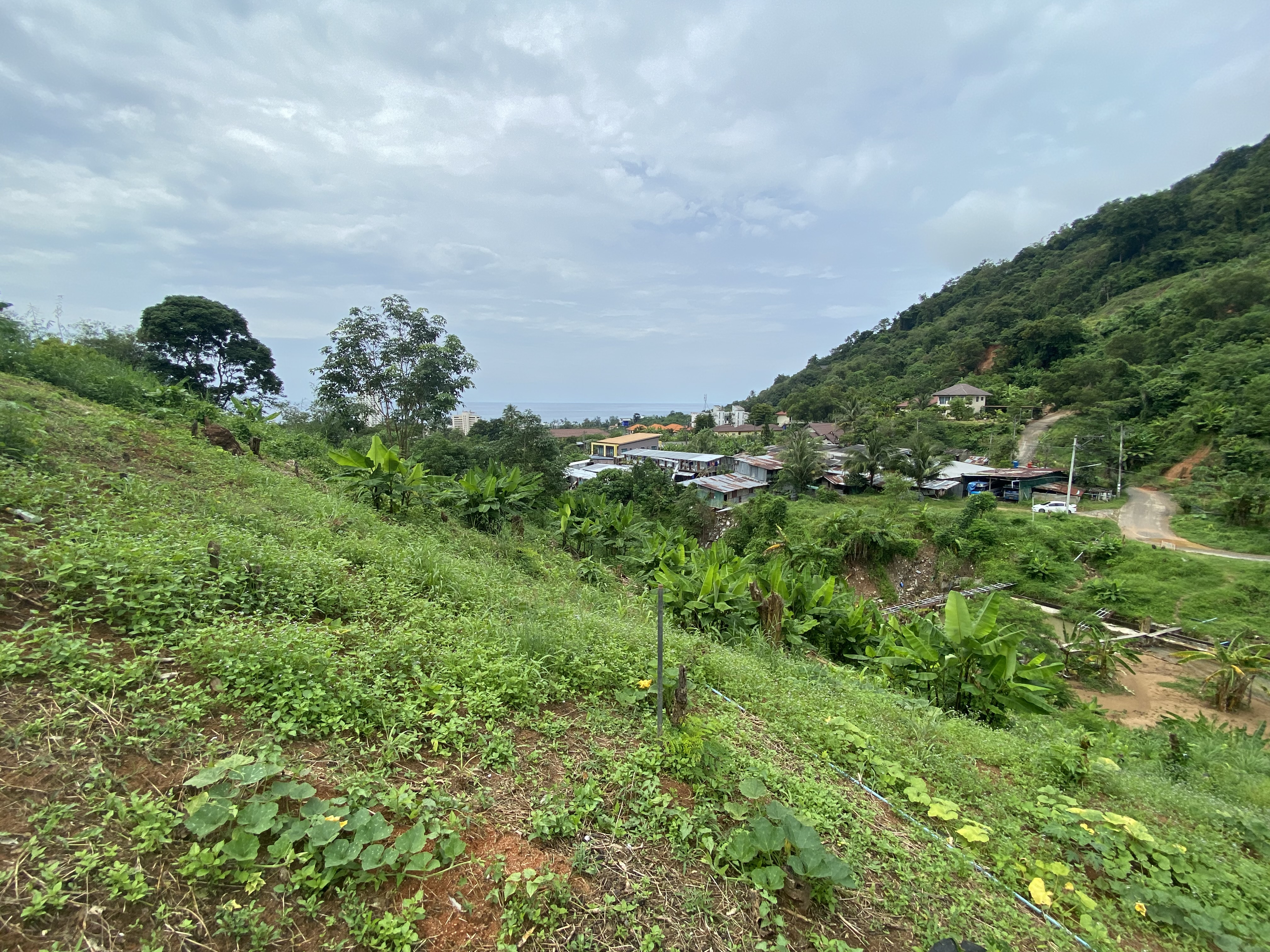 Overview