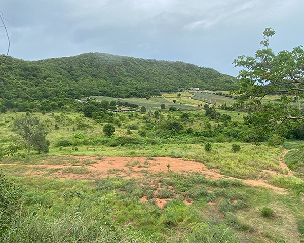 Overview