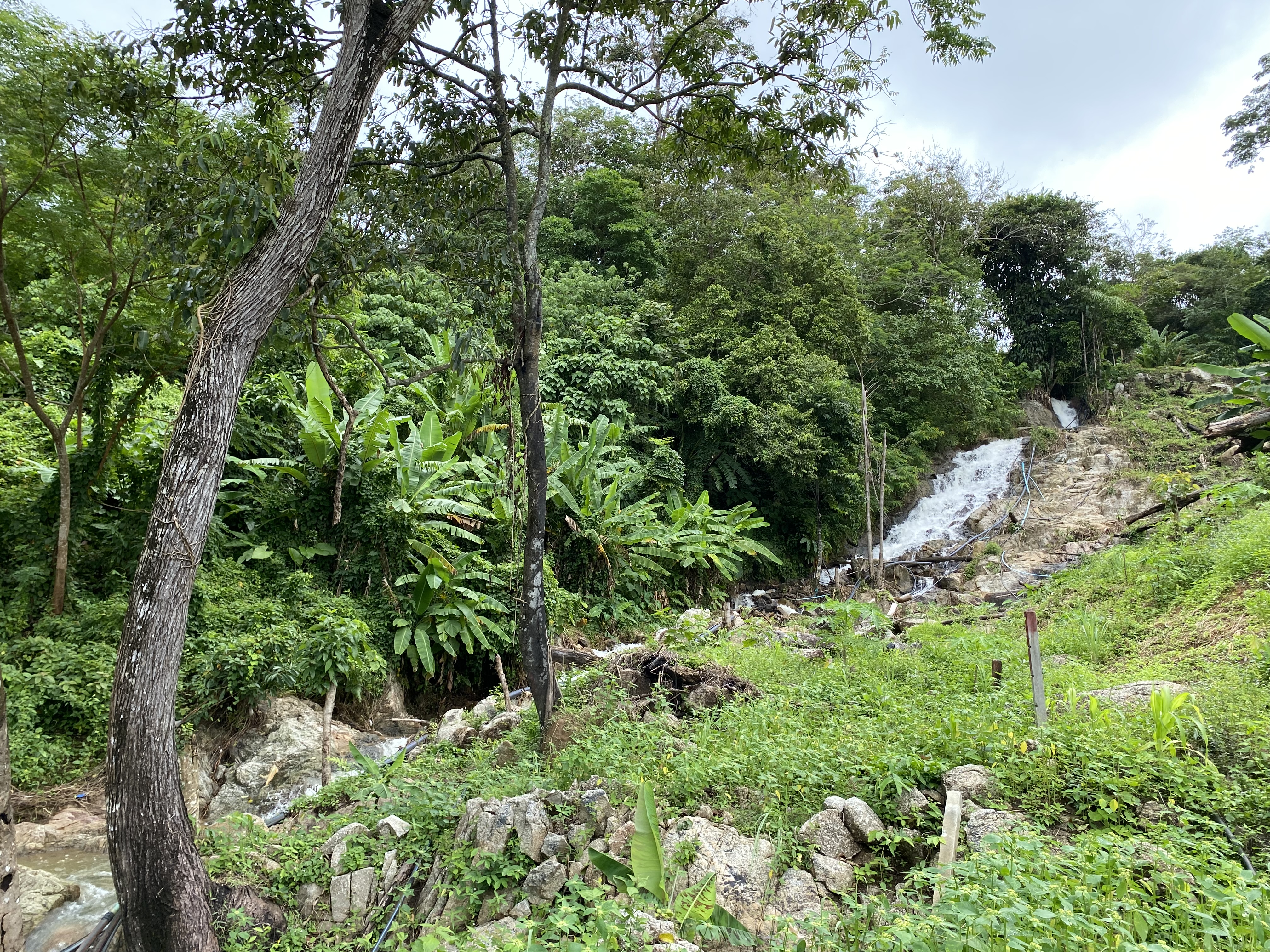 Overview
