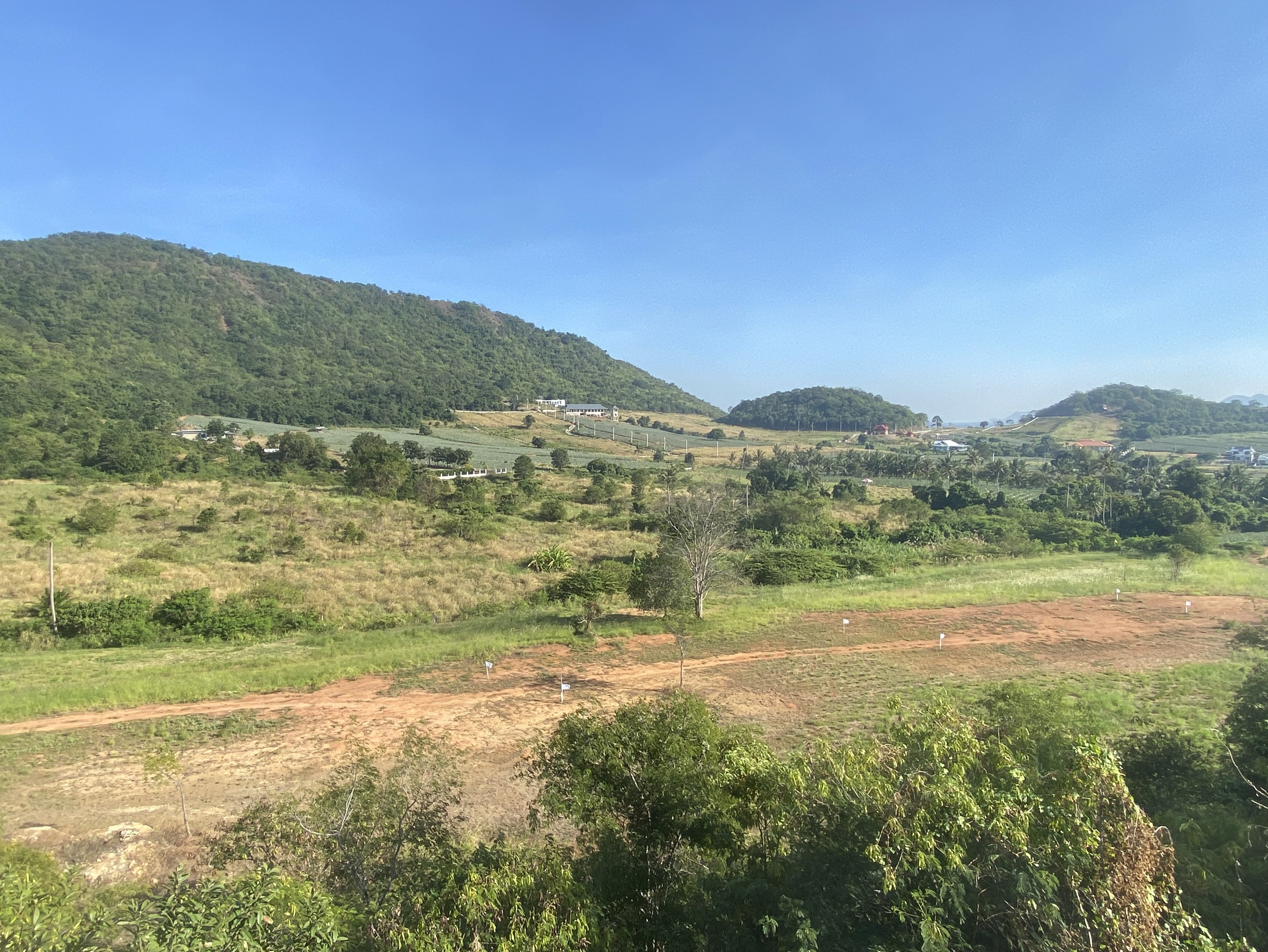 Overview
