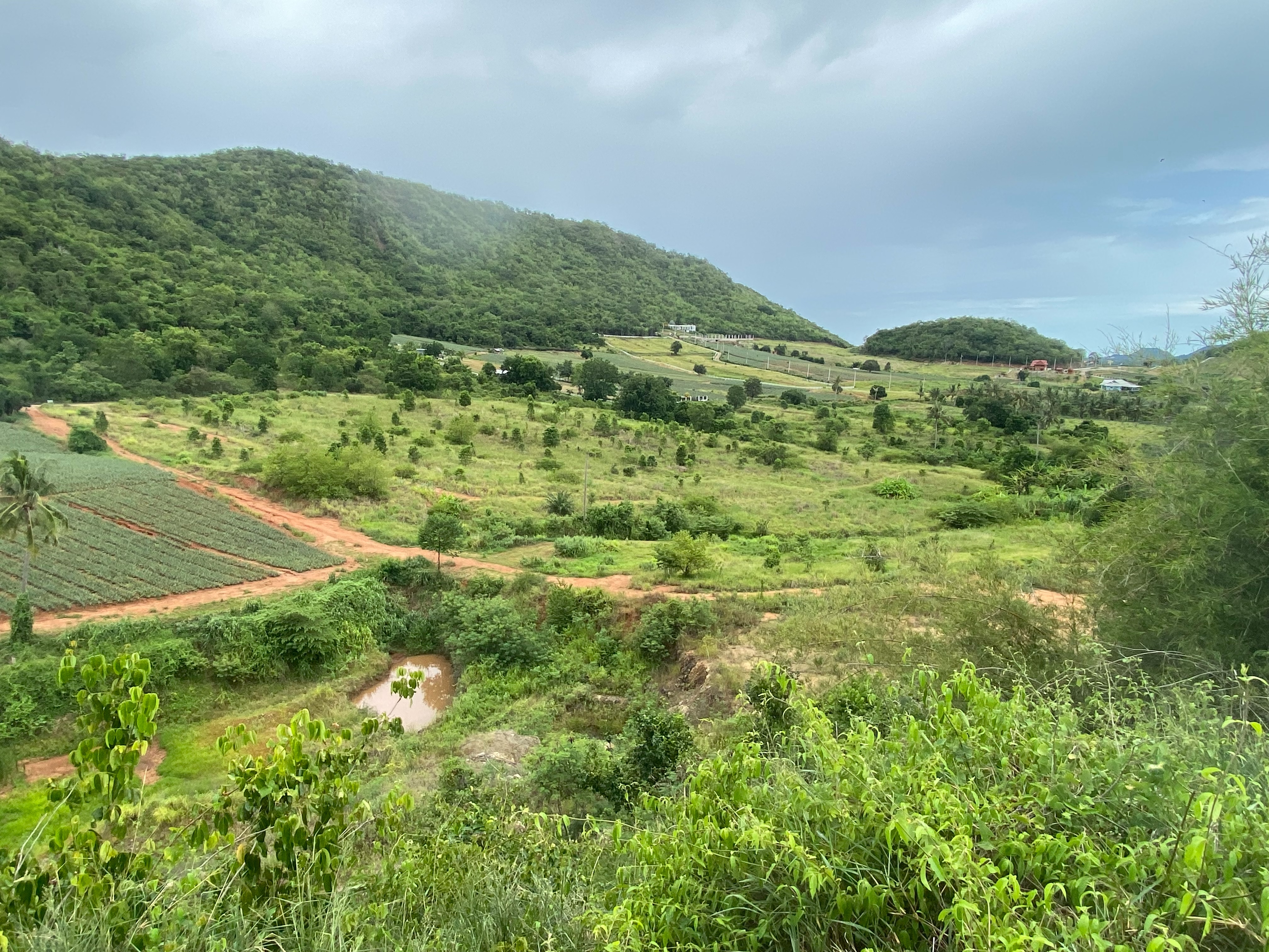 Overview